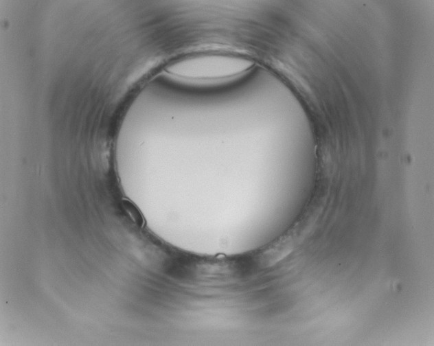 X0000088840160200707051456