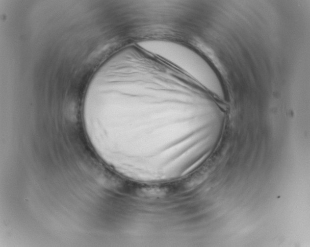 X0000088840161200707051456