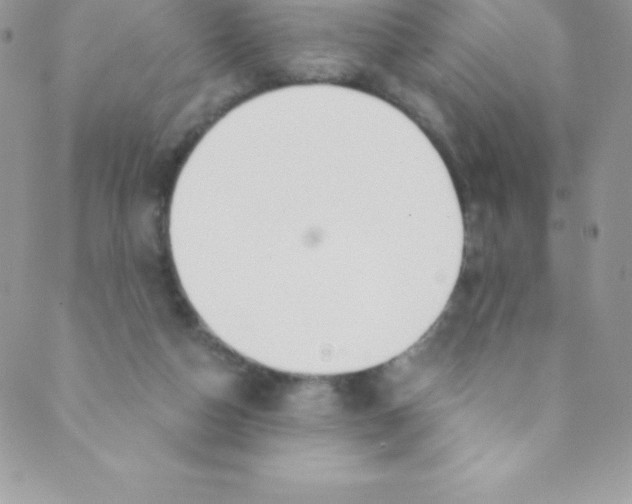 X0000088840162200707051456