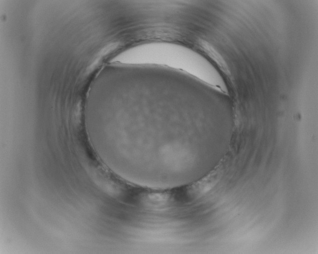 X0000088840163200707051456