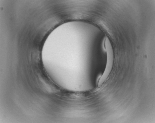 X0000088840164200707051456