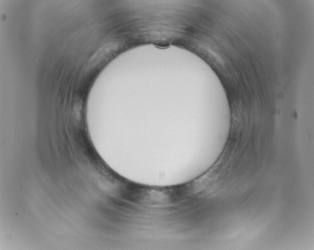 X0000088840166200707051456