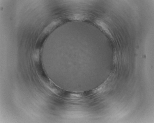 X0000088840167200707051456