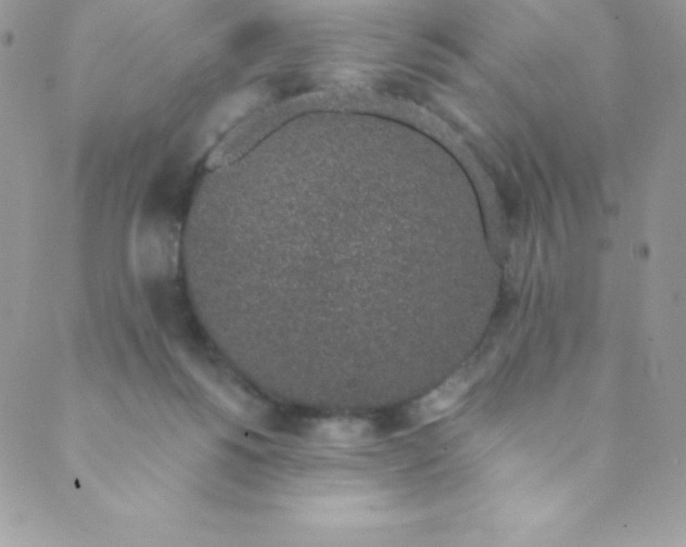 X0000088840168200707051456