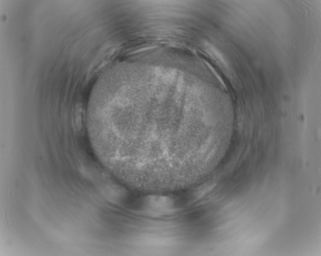 X0000088840169200707051456