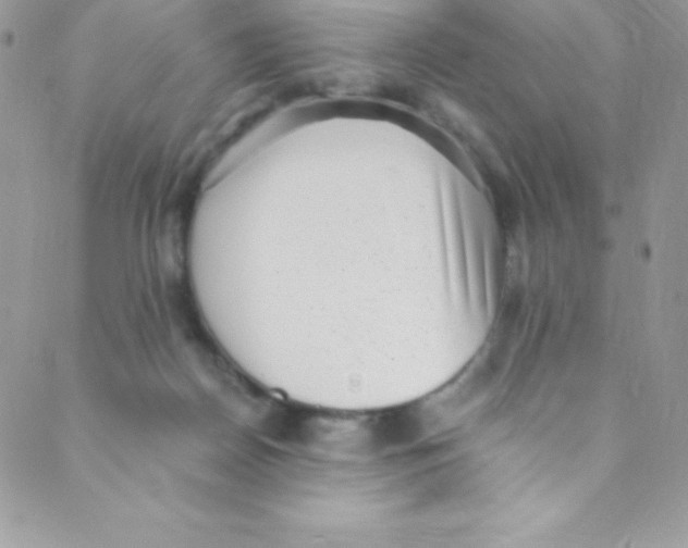 X0000088840170200707051456