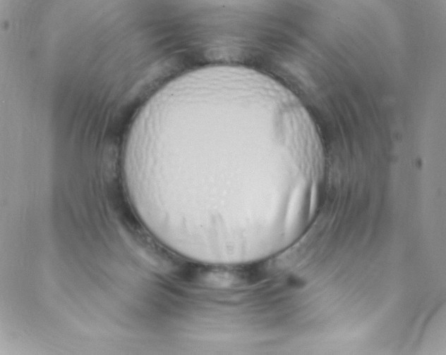 X0000088840171200707051456