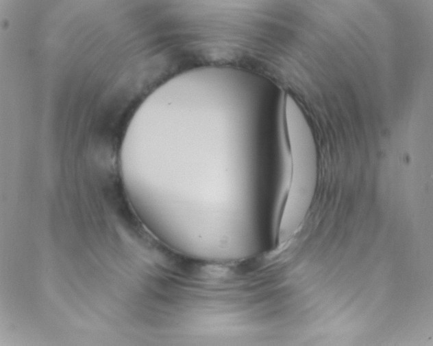 X0000088840176200707051456