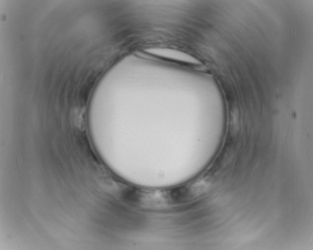 X0000088840177200707051456