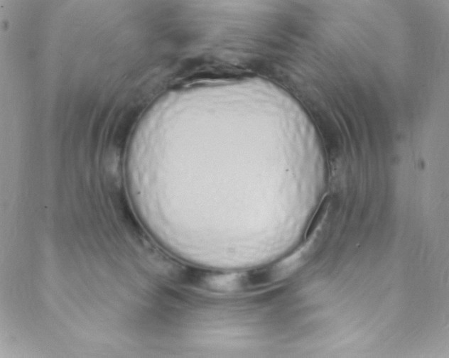 X0000088840178200707051456