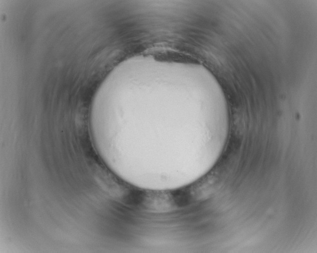 X0000088840181200707051456