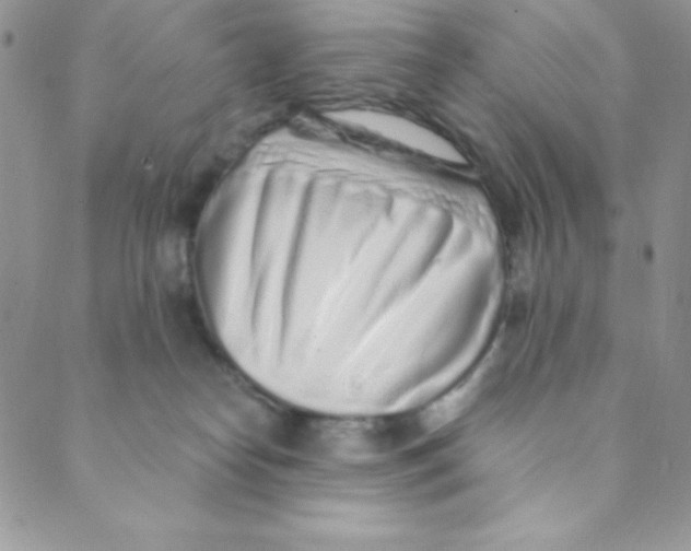 X0000088840182200707051456