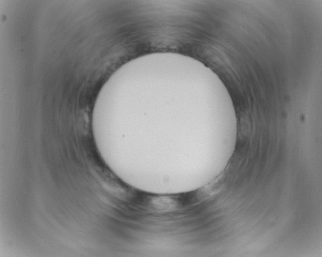 X0000088840183200707051457