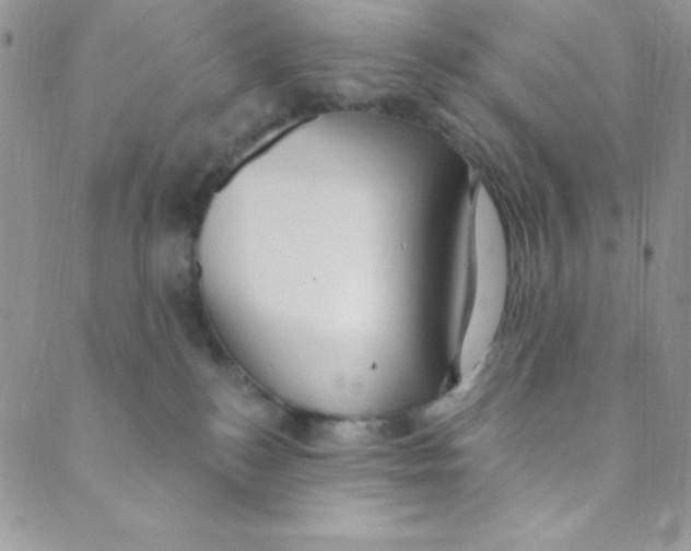 X0000088840184200707051457