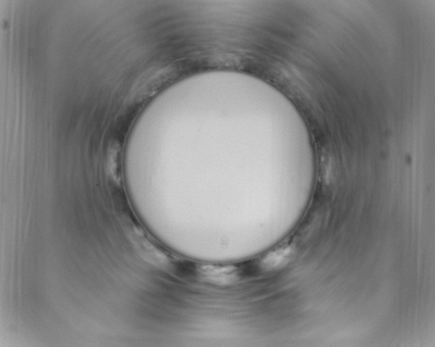 X0000088840185200707051457