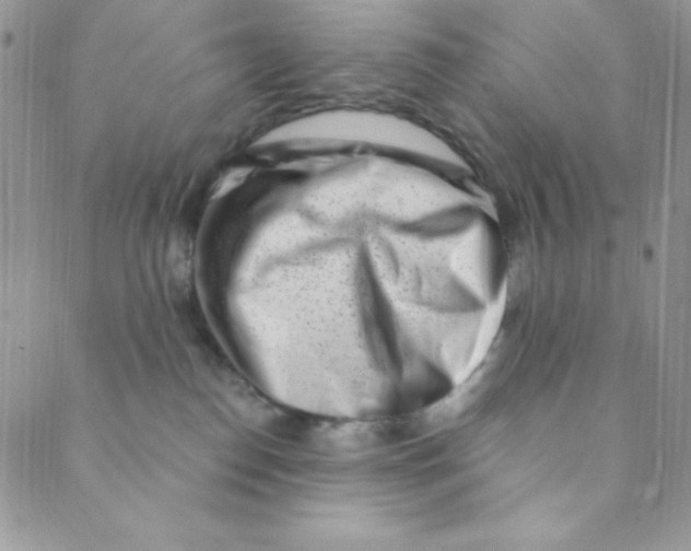 X0000088840186200707051457