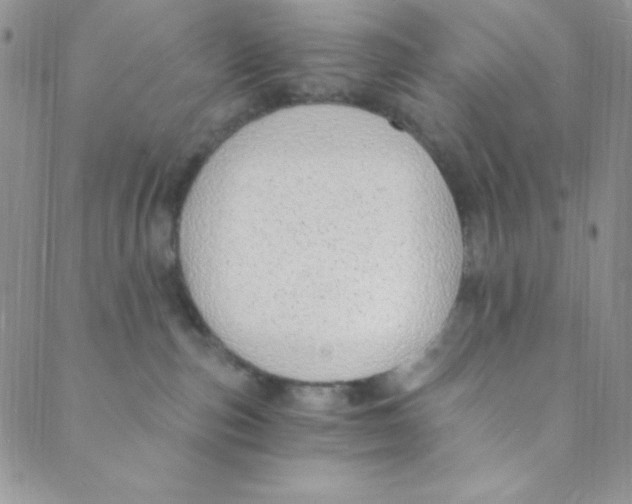 X0000088840187200707051457