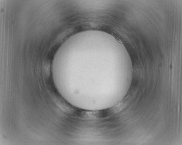 X0000088840188200707051457