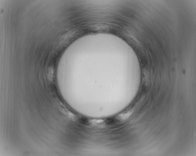 X0000088840189200707051457