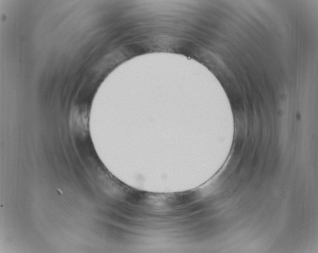 X0000088840190200707051457