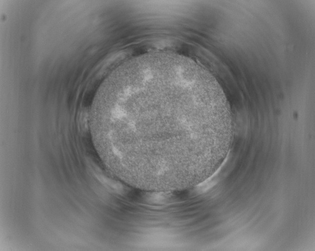 X0000088840191200707051457