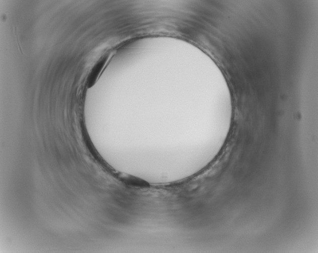 X0000088840193200707051456