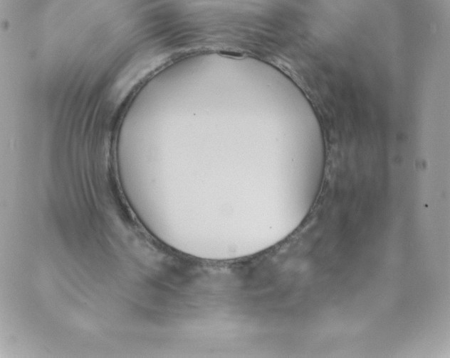 X0000088840194200707051456