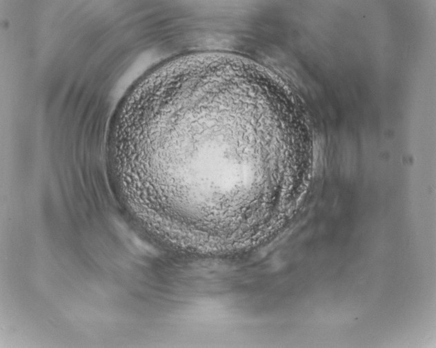 X0000088840195200707051456