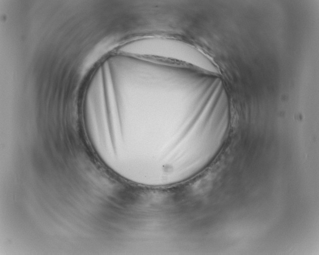 X0000088840198200707051456