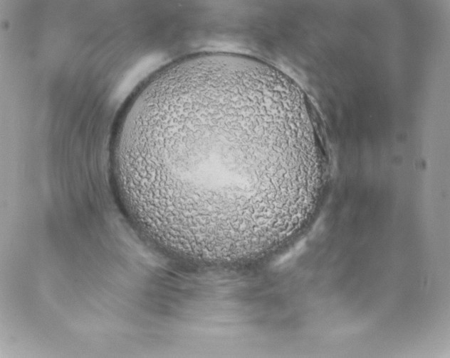 X0000088840199200707051456