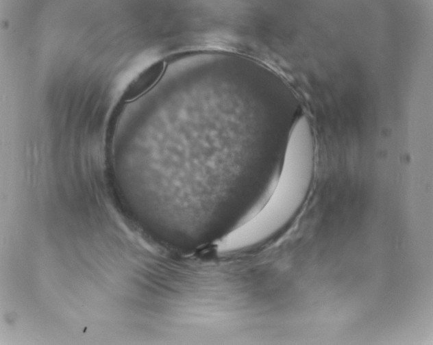 X0000088840200200707051456