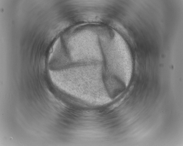 X0000088840202200707051456