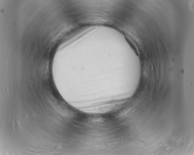 X0000088840206200707051456