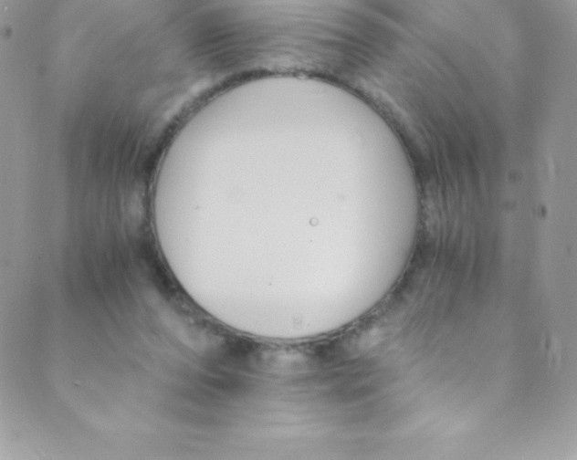 X0000088840208200707051456