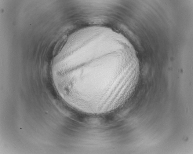 X0000088840209200707051456