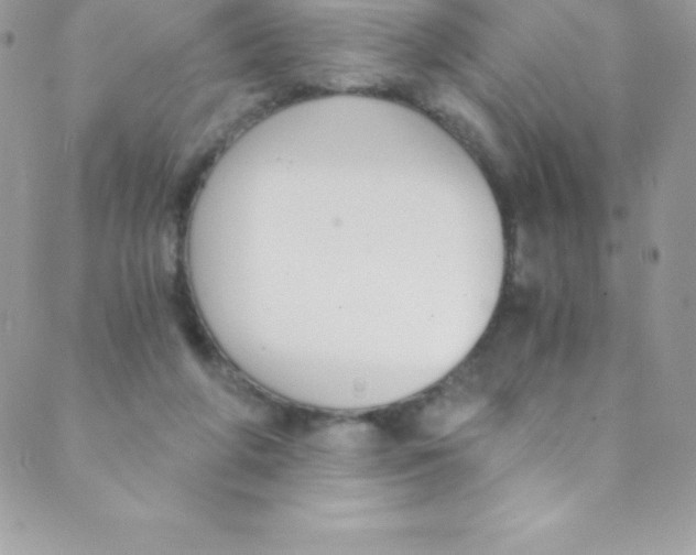 X0000088840210200707051456