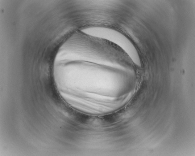 X0000088840211200707051456