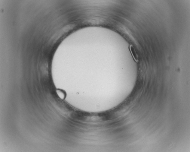 X0000088840212200707051456