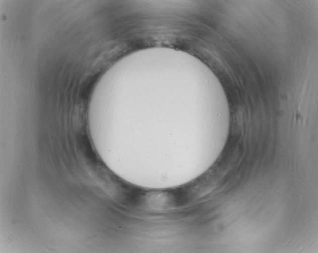 X0000088840218200707051455