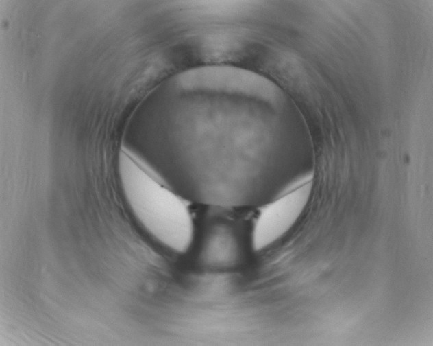 X0000088840219200707051455