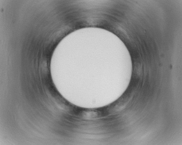 X0000088840220200707051455