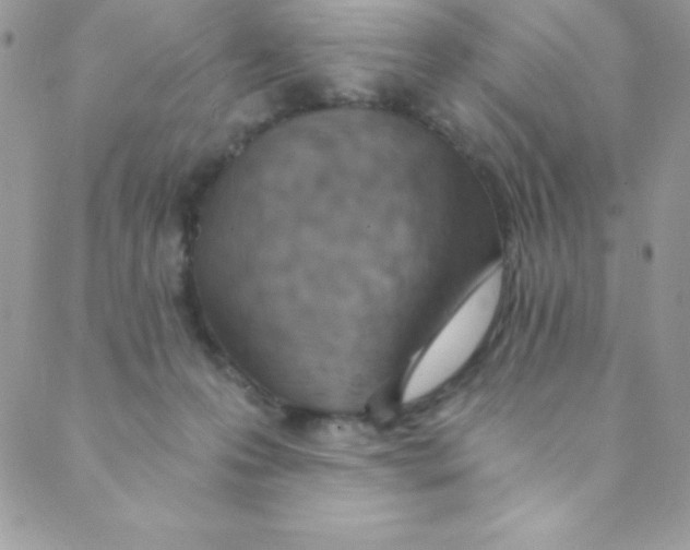 X0000088840223200707051455