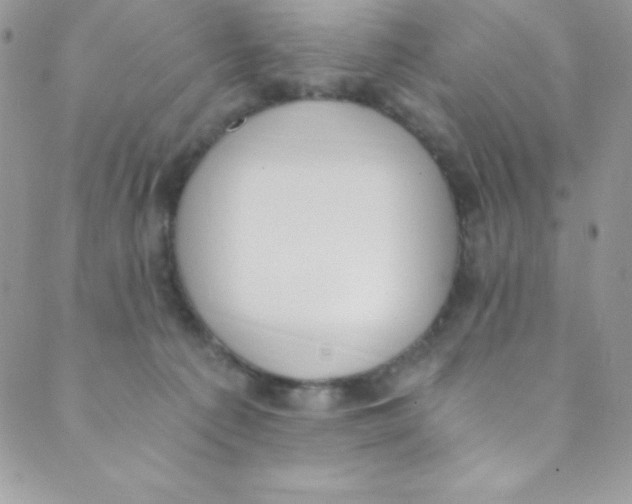 X0000088840225200707051455