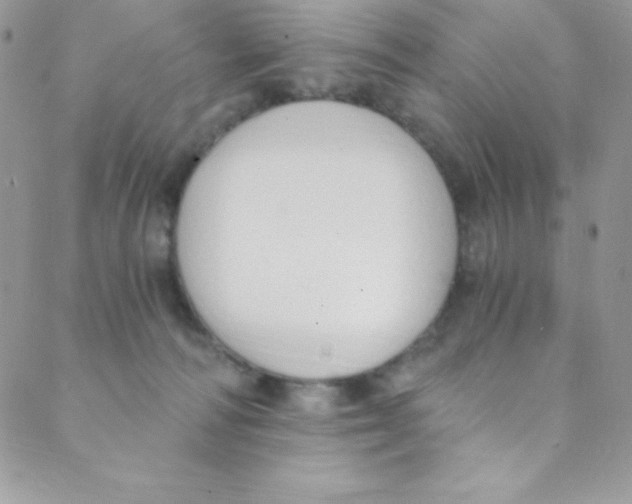 X0000088840226200707051455