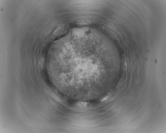 X0000088840227200707051455