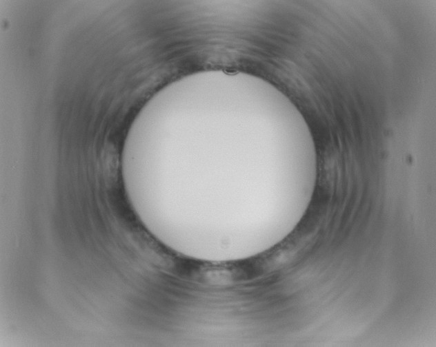 X0000088840228200707051455