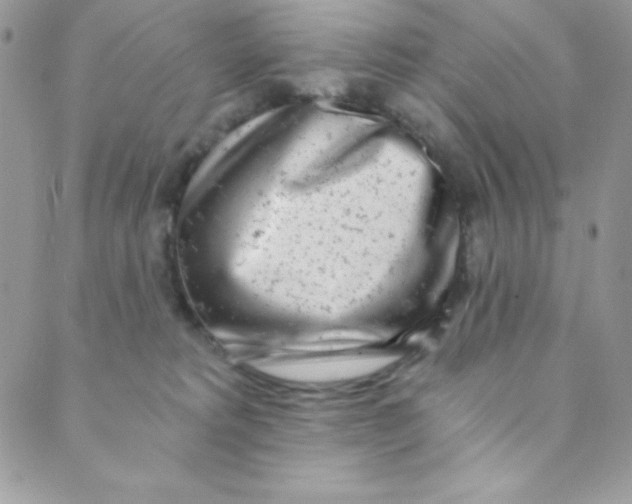 X0000088840229200707051455