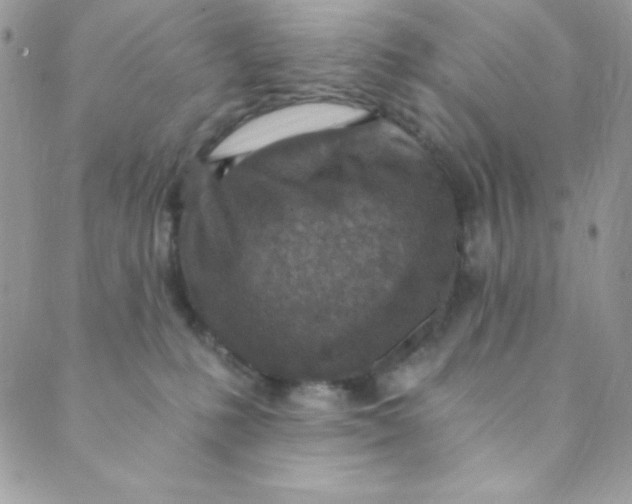 X0000088840231200707051455