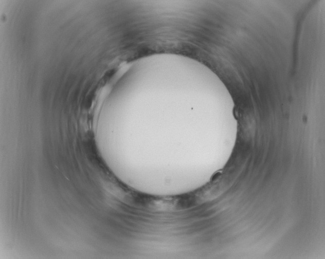 X0000088840232200707051455