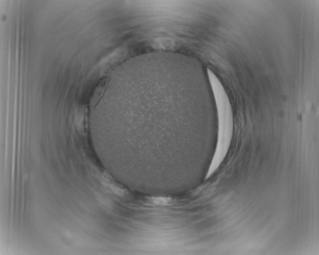 X0000088840233200707051455